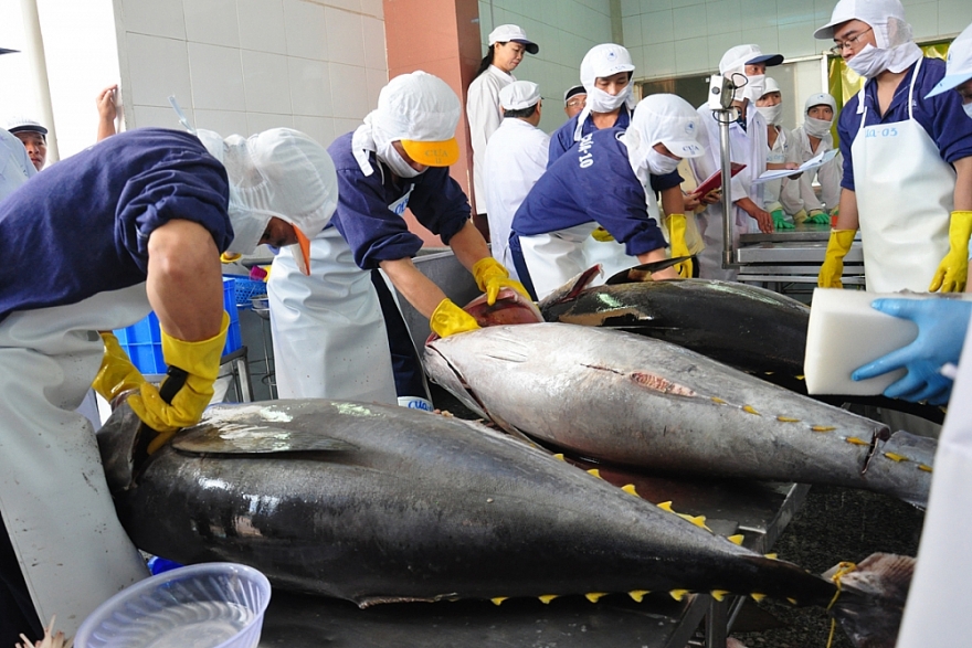 Tận dụng CPTPP, xuất khẩu cá ngừ sang Nhật Bản tăng gấp 3 lần