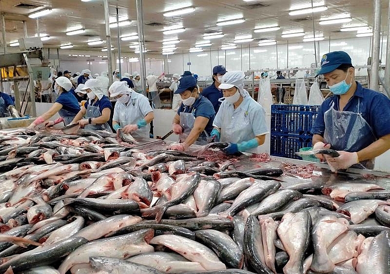 Nhiều thị trường tăng nhập khẩu cá tra Việt Nam