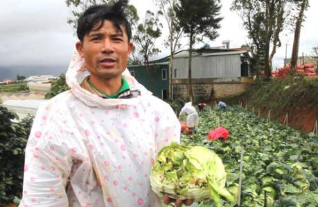 ĐIỀU TRA: Nông sản Trung Quốc nhái – nỗi đau của nông dân Đà Lạt