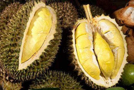 Không phải ai cũng ăn được sầu riêng, đặc biệt những người này càng không nên ăn