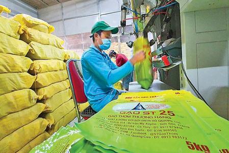 Đăng ký thương hiệu gạo ST25 tại thị trường Mỹ: Doanh nghiệp Việt đừng để chậm chân