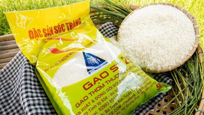 ST25 nhái tràn lan, gạo Việt nguy cơ không được dự thi 
