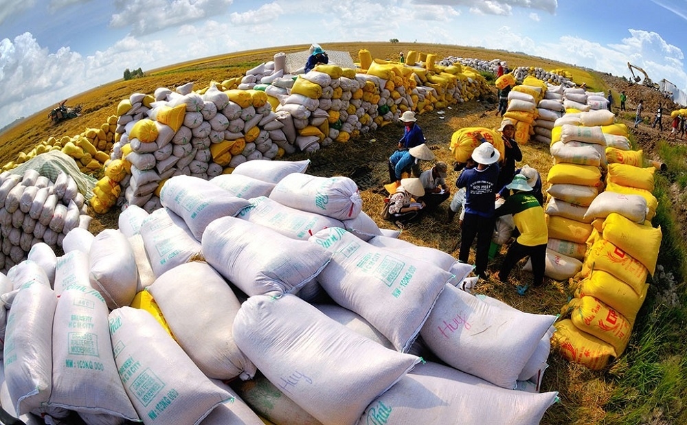 Cập nhật danh sách thương nhân kinh doanh xuất khẩu gạo đến ngày 5/1/2023
