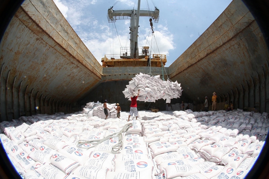 Xuất khẩu gạo dự báo khả quan khi nhiều thị trường lớn đang trở lại