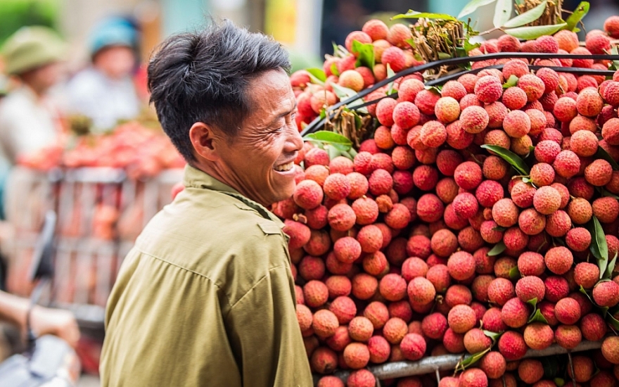 Giải pháp xây dựng thương hiệu cho nông sản Việt