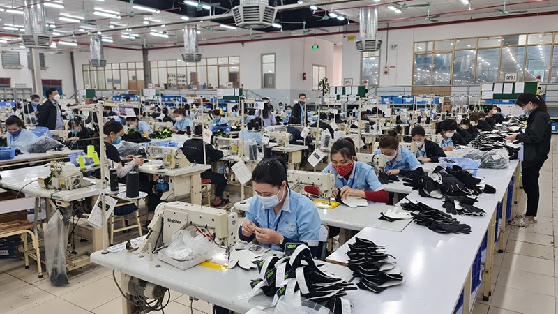 Nghệ An: Hỗ trợ doanh nghiệp xuất khẩu hàng hóa sang Hàn Quốc, Nhật Bản