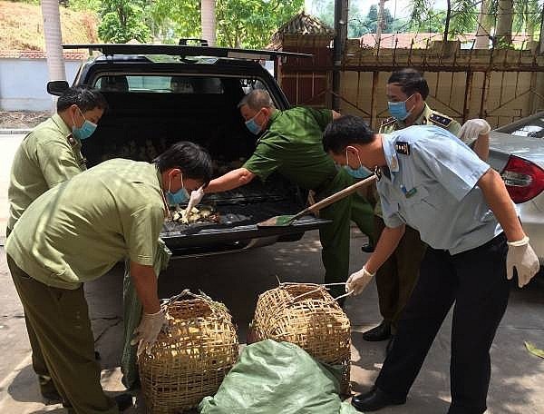 Tăng cường ngăn chặn vận chuyển trái phép gia cầm, sản phẩm gia cầm vào Việt Nam