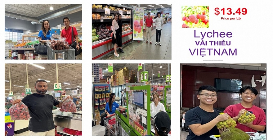 Vải thiều Việt Nam đã có mặt trên kệ nhiều siêu thị lớn tại Houston và Texas