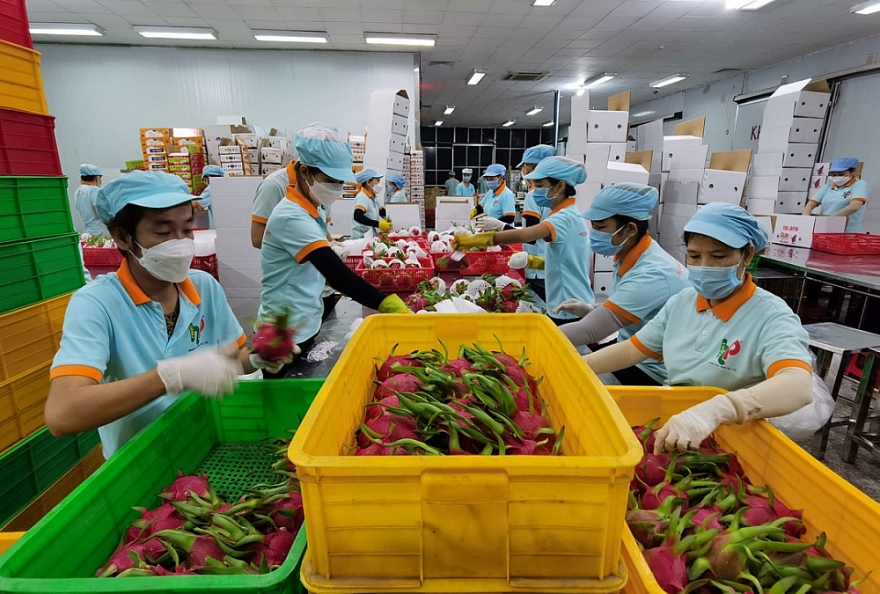 Ấn Độ - thị trường tiềm năng cho doanh nghiệp và hàng hóa Việt